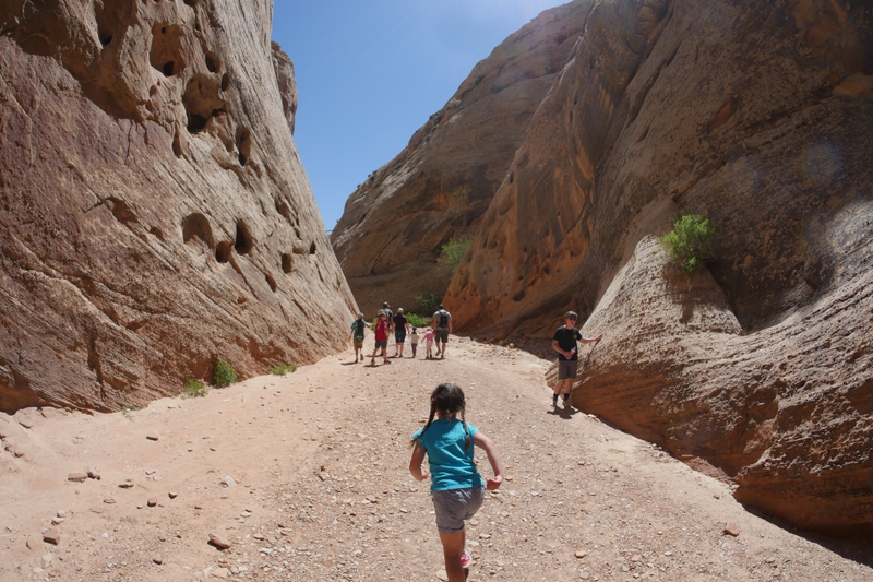 Illustration for article titled Capitol Reef - A not overlanding post